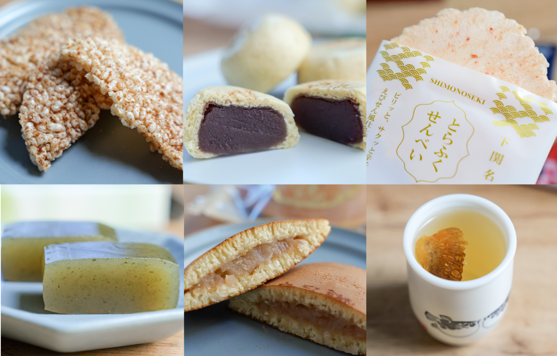 山口ふぉとりっぷ 取材記事